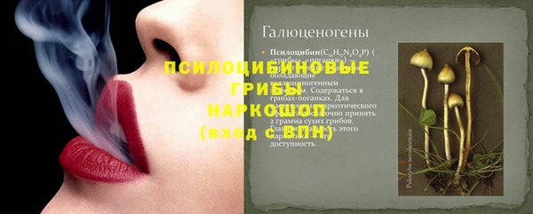 ПСИЛОЦИБИНОВЫЕ ГРИБЫ Алексеевка