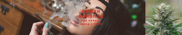 ПСИЛОЦИБИНОВЫЕ ГРИБЫ Алексеевка